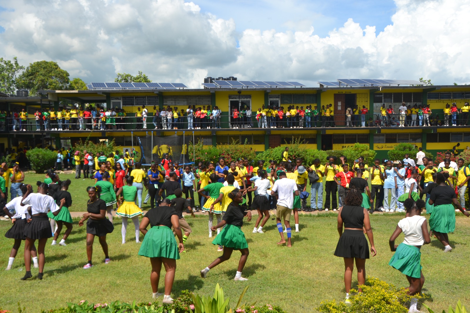 Green and yellow school colour pattern